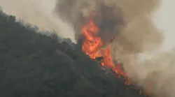An unnamed firefighter was killed battling the El Dorado Fire in San Bernardino County, CA, according to the U.S. Forest Service.