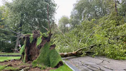 Hanover, MA, firefighters responded to multiple calls during a storm that swept through the state late Tuesday bringing intense rainfall and strong winds.