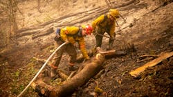Firefighters work on mopping up a back burn near Leaburg, OR, on Sept. 10. Firefighters work on mopping up a back burn near Leaburg, OR, on Sept. 10.