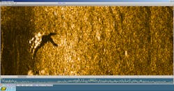 Simulated drowning victim Simulated drowning victim