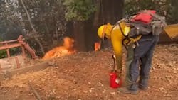 CAL FIRE is investigating private firefighters who allegedly set illegal backfires over the weekend to protect property from the Glass Fire. CAL FIRE is investigating private firefighters who allegedly set illegal backfires over the weekend to protect property from the Glass Fire.