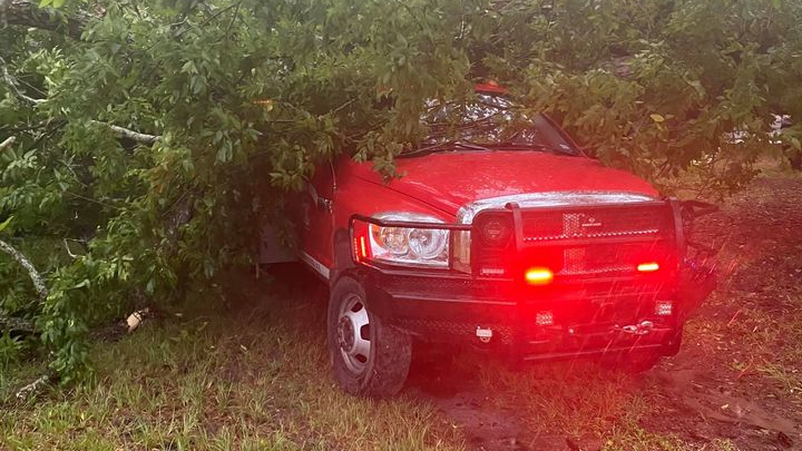 A tree weakened by a lightning-ignited blaze fell on a Crabb's Prairie, TX, Fire Company brush truck on Father's Day, totalling the vehicle.
