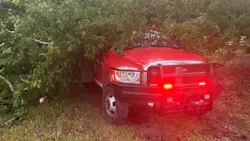 A tree weakened by a lightning-ignited blaze fell on a Crabb's Prairie, TX, Fire Company brush truck on Father's Day, totalling the vehicle.