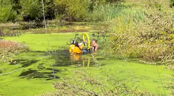 Milford, CT, firefighters rescued a dog and his owner who were trapped in a muddy pond Wednesday.