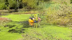 Milford, CT, firefighters rescued a dog and his owner who were trapped in a muddy pond Wednesday.