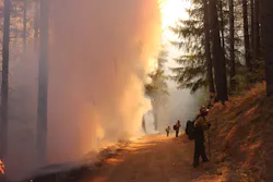 Firefighters from the Texas Forest Service hold a fire line on the August Complex fire.