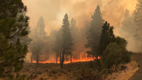 Forestry Official Or S Firefighting System Needs Updating Firehouse