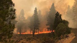 The Oregon Department of Forestry is using an outdated firefighting system that hasn't adapted to longer fire seasons, excessive fuel loads in forests and climate change, according to a state forestry official. The Oregon Department of Forestry is using an outdated firefighting system that hasn't adapted to longer fire seasons, excessive fuel loads in forests and climate change, according to a state forestry official.