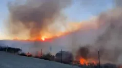 Two Forest Service firefighters were injured battling the Bond Fire in Orange County, CA, on Thursday.