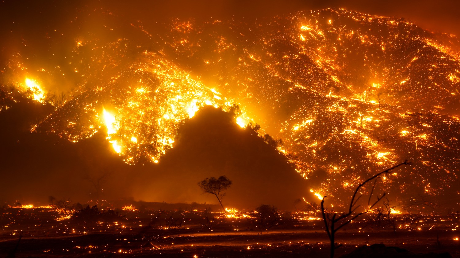 The Bond Fire was sparked by a structure fire that extended into nearby vegetation Thursday in Silverado, CA.