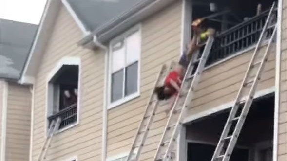 Dangle 5fd4e76334030