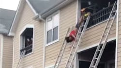 Dangle 5fd4e76334030 Dangle 5fd4e76334030