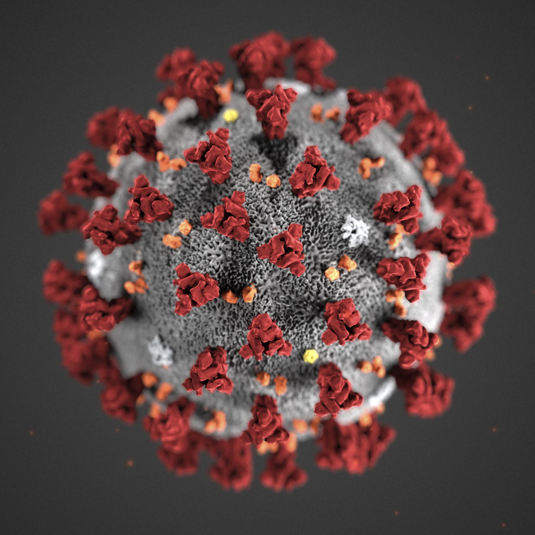Covid 19 Illo (cdc)