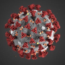 Covid 19 Illo Cdc 5fce307602e02 Covid 19 Illo Cdc 5fce307602e02