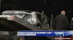 Body