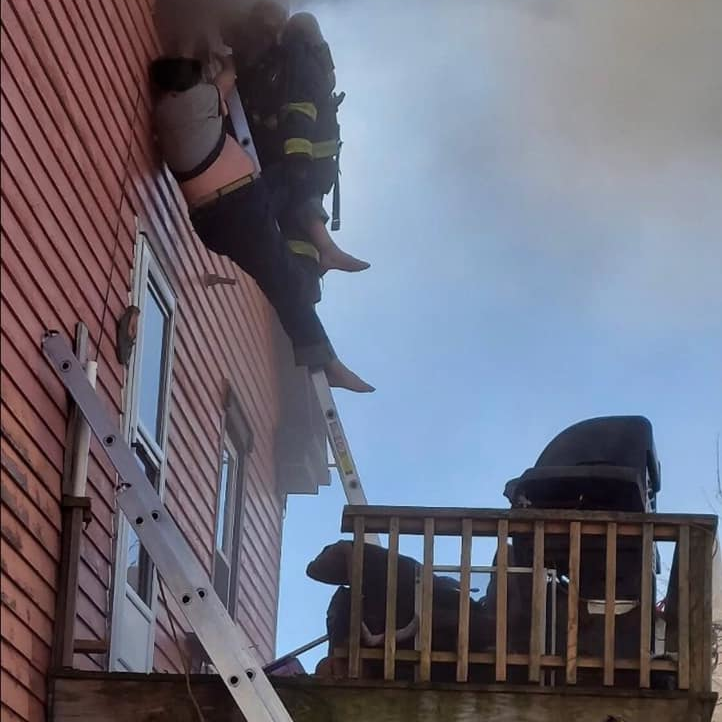 New Bedford, MA, firefighters rescued three people and more than 20 cats from a residential fire Sunday.