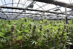 Getty Images 1203956598 Getty Images 1203956598