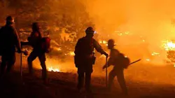 A newly signed law will allow Colorado inmate firefighters better opportunities to pursue careers in the fire service after their incarceration.