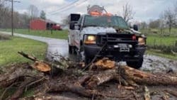 A tree that needed to be cut down after it caught fire during a wildfire in Heltonville, IN, on Wednesday damaged a Pleasant Run brush truck when it fell in the wrong direction. A tree that needed to be cut down after it caught fire during a wildfire in Heltonville, IN, on Wednesday damaged a Pleasant Run brush truck when it fell in the wrong direction.