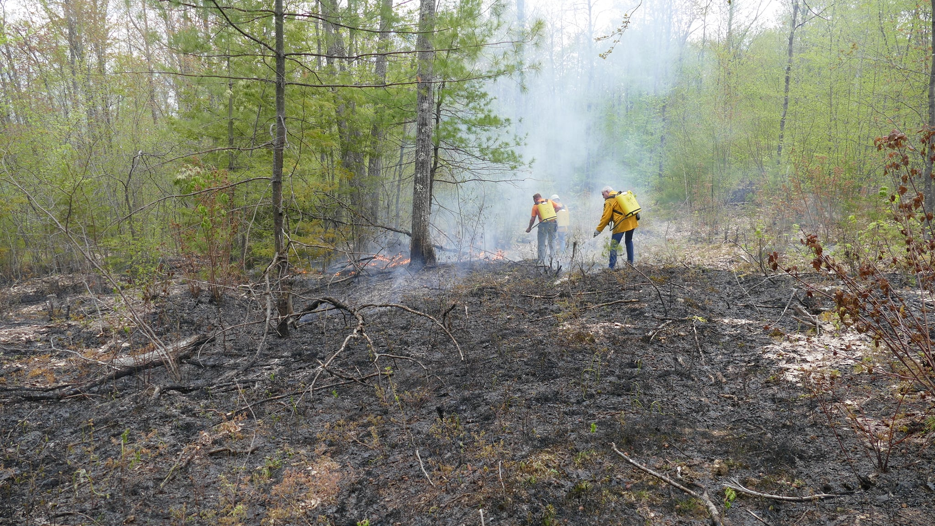 A firefighter was injured battling a wildfire that burned through 12 acres in Brownsfield, ME, on Monday.