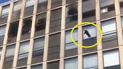 Cat1 609fc53db070a Cat1 609fc53db070a