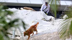 Firefighters conduct search and rescue with dogs in the rubble at Champlain Towers South Condo in Surfside, FL, which collapsed in the early Thursday.
