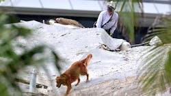 Firefighters conduct search and rescue with dogs in the rubble at Champlain Towers South Condo in Surfside, FL, which collapsed in the early Thursday.