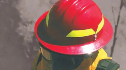 Bullard Website Wildland