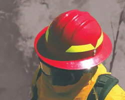 Bullard Website Wildland 60b655e153915