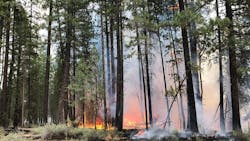 A firefighter became briefly separated from his unit Sunday while working to contain spot fires on the eastern edge of the Bootleg Fire in Oregon. A firefighter became briefly separated from his unit Sunday while working to contain spot fires on the eastern edge of the Bootleg Fire in Oregon.