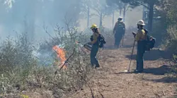 Firefighters work to contain the Red Apple Fire in Chelan County, WA.