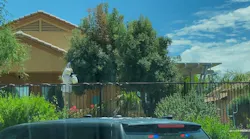 Marana