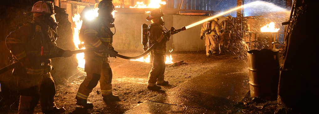 Ventis Pro For Fire 60f9dc85890da