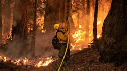 A firefighter works a controlled burn on a ridge near Hwy. 50 in Strawberry, CA, on Saturday, Aug. 28, 2021.