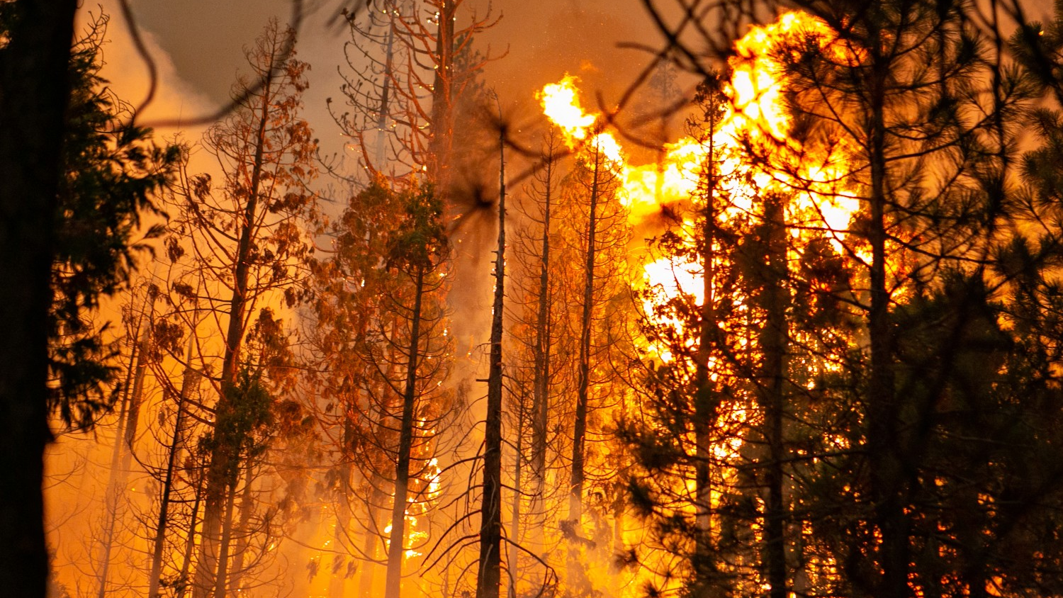 20210830 Amx Us News Caldor Fire Rages Toward Lake 1 La 612e276d7710e