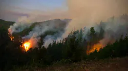 The Skyline Ridge Complex Fire in Douglas County, OR.