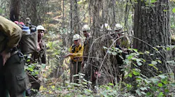 Firefighting crews work to contain multiple fires in the Nez Perce-Clearwater National Forest in Idaho.