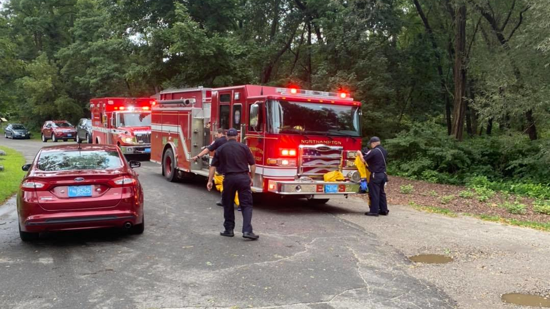 Hampton 6123d42579493