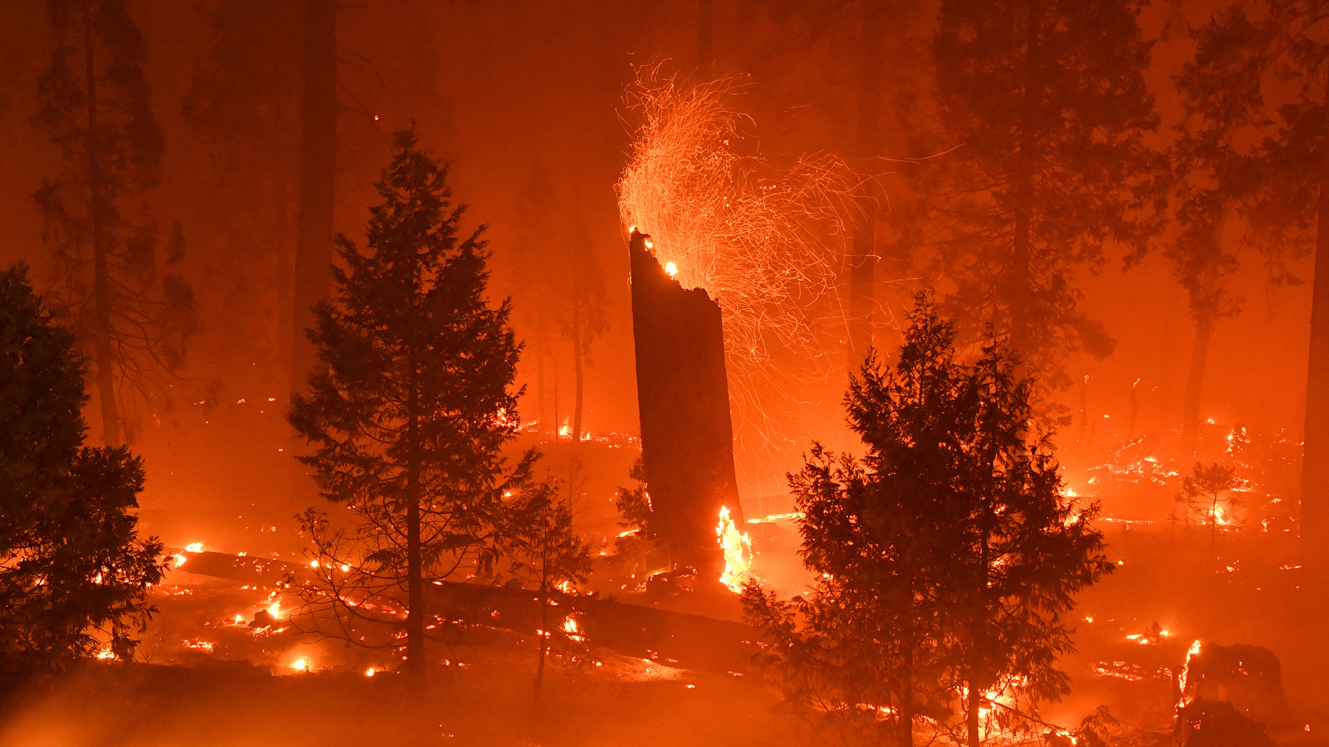 The Caldor Fire burns in Twin Bridges, CA, on Wednesday, Sept. 1, 2021.