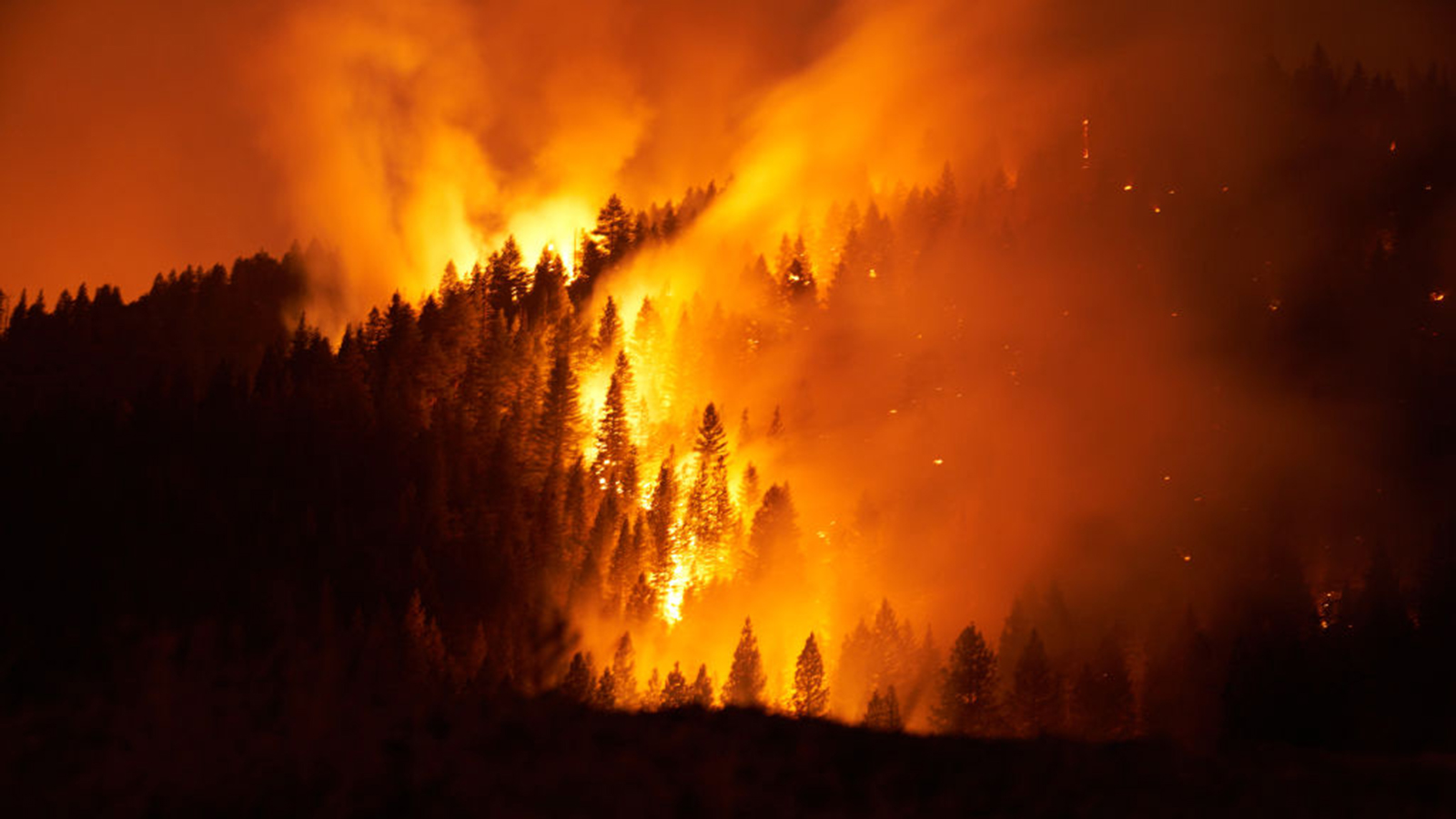 The Dixie Fire pushes through the Genesee Valley on Aug. 21, 2021, near Genesee, CA.