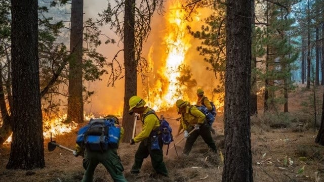 Firefighters work the Dixie Fire in Lassen National Forest this week.