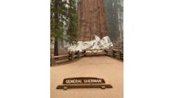 Sherman 61488a1442695 Sherman 61488a1442695