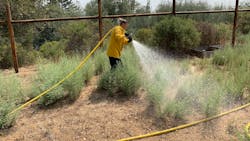 Lce20 W 616ad17333db1 Lce20 W 616ad17333db1