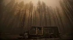 Burned trees rise above a truck destroyed by the Dixie Fire in Greenville, CA, in August 2021.