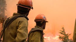 Usda Screenshot 6189292b87283 Usda Screenshot 6189292b87283