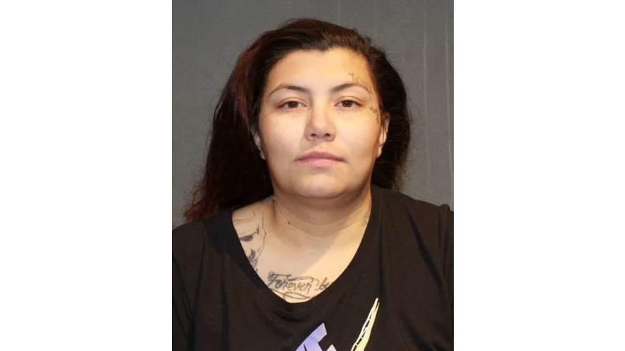 Dominique Carman was charged with causing thousands of dollars in damage to firefighters' personal vehicles at a fire station in Sioux City, IA.