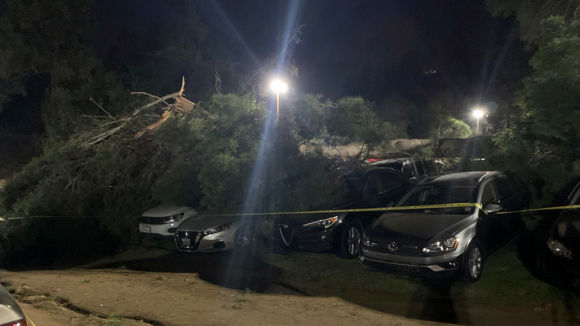 A large tree rests across a row of vehicles after falling in the parking lot of the Greek Theatre in Los Angeles on Wednesday, Nov. 3, 2021.