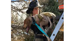 Firefighters carry a canine down a ground ladder after it got stuck in a tree and then made its way to a roof in Fort Carson, CO, on Nov. 23, 2021.