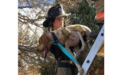 Firefighters carry a canine down a ground ladder after it got stuck in a tree and then made its way to a roof in Fort Carson, CO, on Nov. 23, 2021. Firefighters carry a canine down a ground ladder after it got stuck in a tree and then made its way to a roof in Fort Carson, CO, on Nov. 23, 2021.