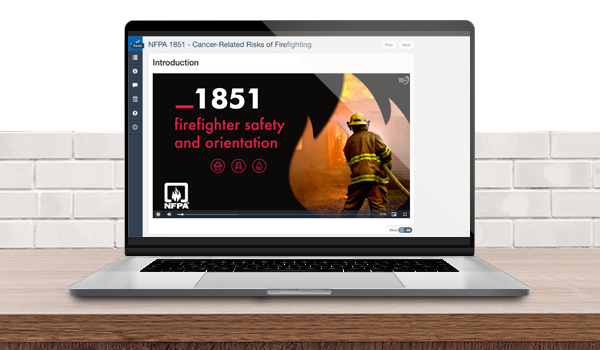 Vector 6193c01cb898e